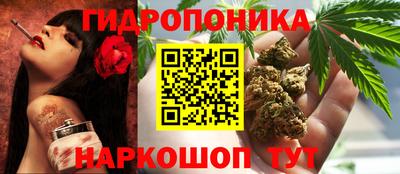ГАЛЛЮЦИНОГЕННЫЕ ГРИБЫ Будённовск
