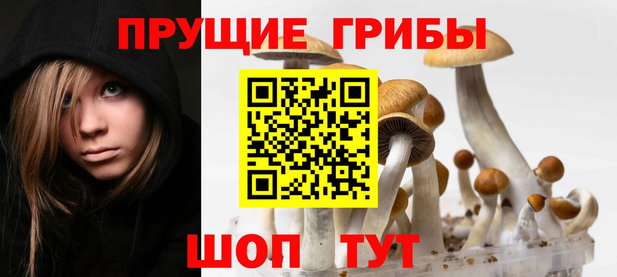 Псилоцибиновые грибы Magic Shrooms  Вход с VPN  Бирск  Галлюциногенные грибы ЛСД 